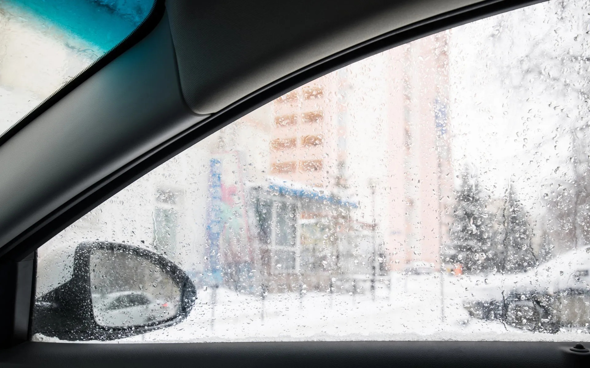 Smart Tips To Deal With High Humidity In Your Vehicle White's